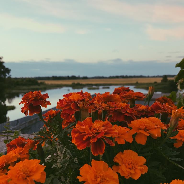 Ilmatsalu Motell Esterno foto